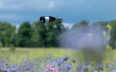 Quand nos bouteilles raflent la mise (et les médailles !)
